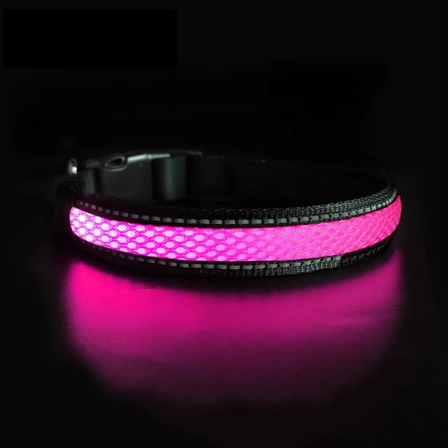 Collare per cani a LED in maschera prodotti per animali domestici luminosi di sicurezza elegante collana con bagliore lampeggiante accessori per cani da compagnia riflettenti impermeabili