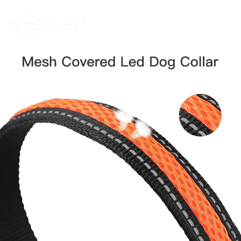 Collare per cani a LED in maschera prodotti per animali domestici luminosi di sicurezza elegante collana con bagliore lampeggiante accessori per cani da compagnia riflettenti impermeabili