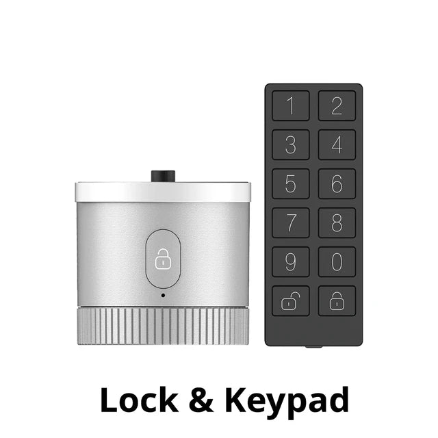 MOES Bluetooth Door Lock Bank-grade AES128 Bit TLS crittografia BLE Sensor sblocco Tuya Smart APP controllo vocale Alexa Google EU